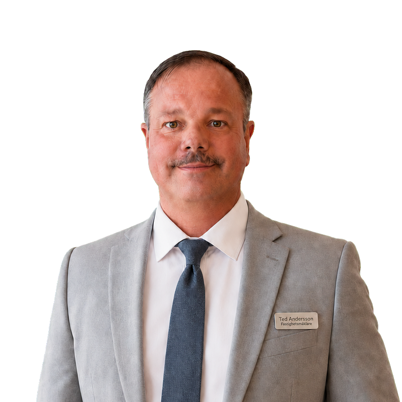 Profilbild för Ted Andersson