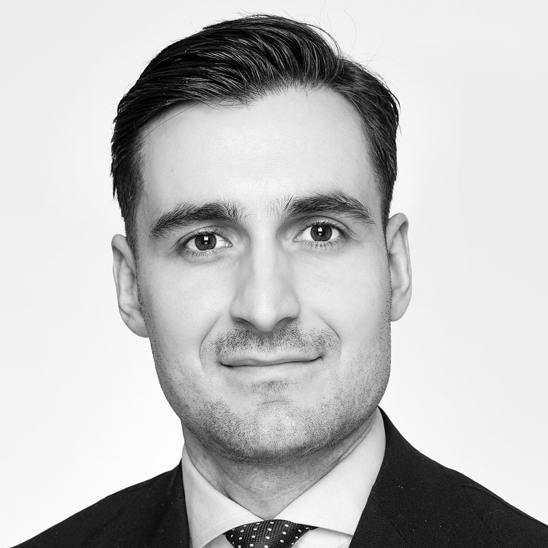 Profilbild för Deni Ilic