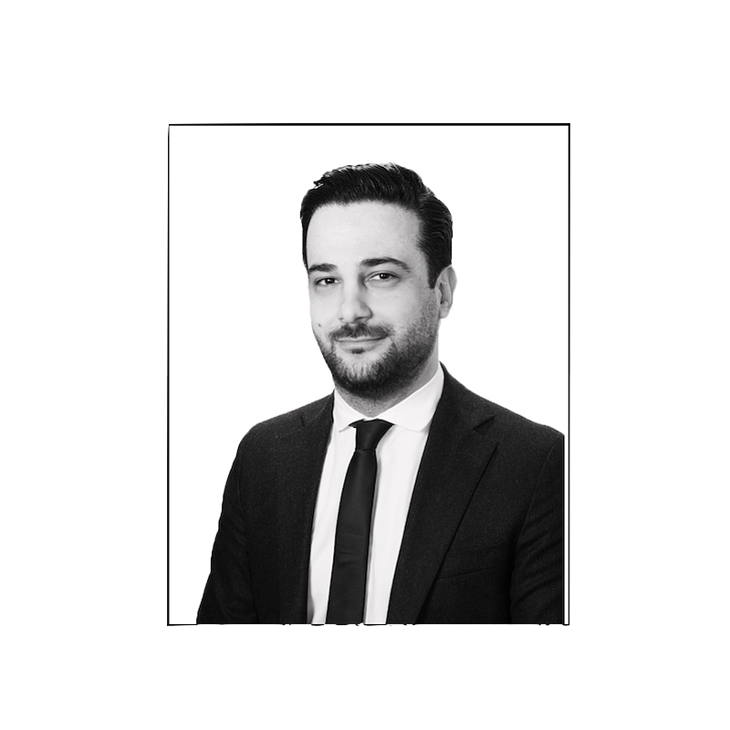 Profilbild för Amir Shamshirzan